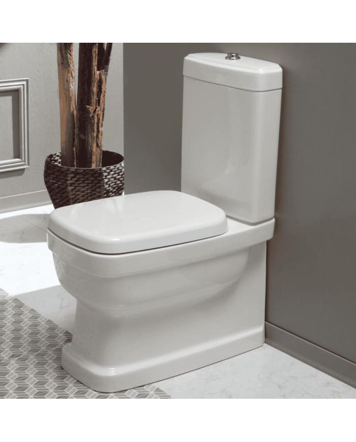 Cuvette monobloc - Simas