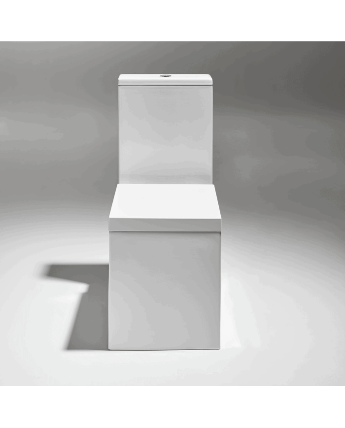 Cuvette monobloc - Simas