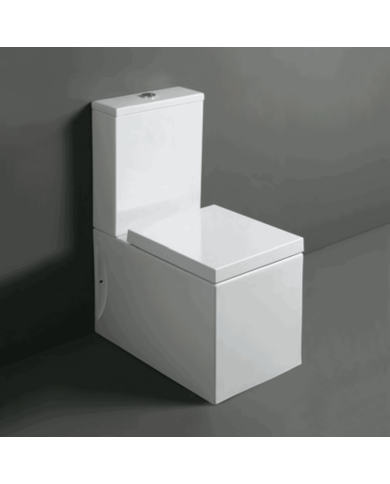 Cuvette monobloc - Simas