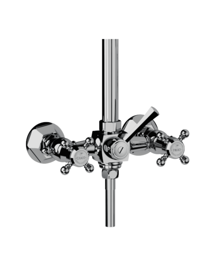 Colonne mélangeur douche mural Ascott - Horus