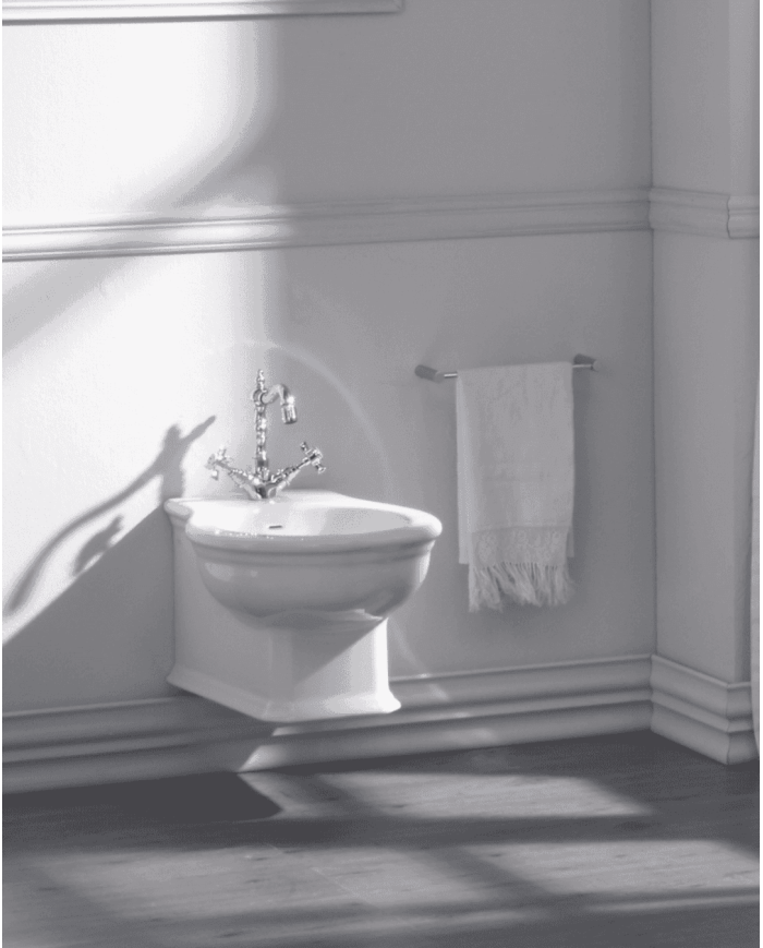 Bidet suspendu - Regent Imperial