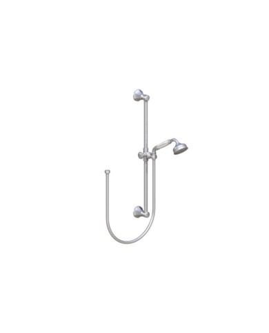 Garniture douche flexible Ascott Horus