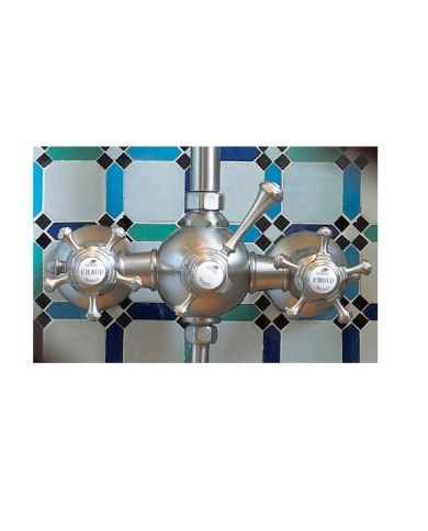 Mix mitigeur thermostatique mural Anthea Horus